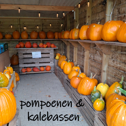 pompoenenkalebasseneesveen
